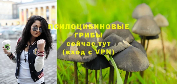 a pvp Лабытнанги