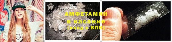 Альфа ПВП Лагань