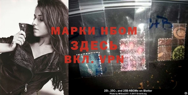 Альфа ПВП Лагань