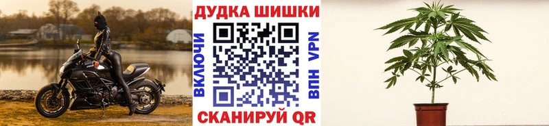 Купить  Томск  Марихуана SATIVA & INDICA 